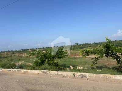 Investor Rate Kanal Pair Available In Outclass Location