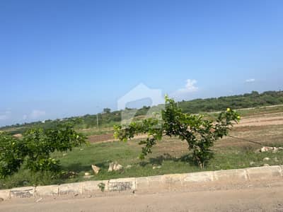 With Extra Land Solid And Level Plot In Sec A