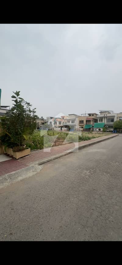 1 kanal main boulevard back plot
