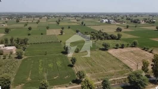Lahore Organic Farms Society Located On Main Barki Road, Lahore.