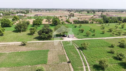 کینال ایکسپریس فیصل آباد میں 20 کنال زرعی زمین 60.0 کروڑ میں برائے فروخت۔