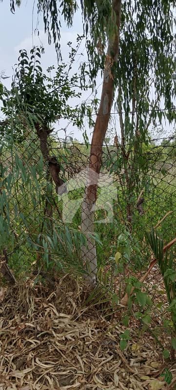 CHAK SHAHZAD MAIN PARK DOUBLE ROAD FARM HOUSE PLOT (40) KANAL FOR SALE