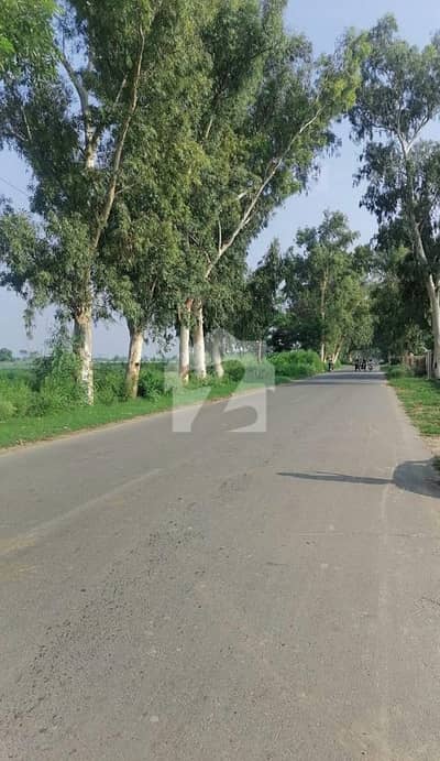 بیدیاں روڈ لاہور میں 8 کنال رہائشی پلاٹ 1.7 کروڑ میں برائے فروخت۔