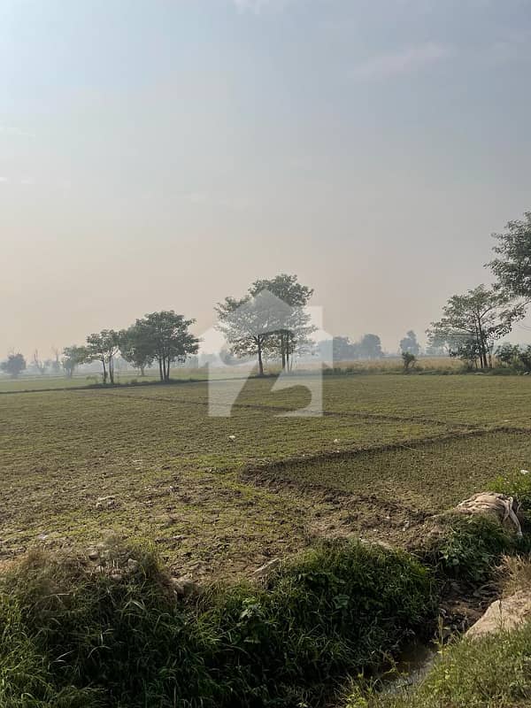 Buying A Agricultural Land In Bedian Road? Buying A Agricultural Land In Bedian Road?