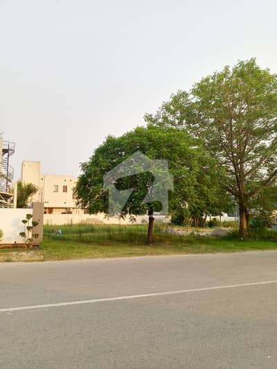 ڈی ایچ اے فیز 8 - بلاک ٹی فیز 8,ڈیفنس (ڈی ایچ اے),لاہور میں 1 کنال رہائشی پلاٹ 5.45 کروڑ میں برائے فروخت۔