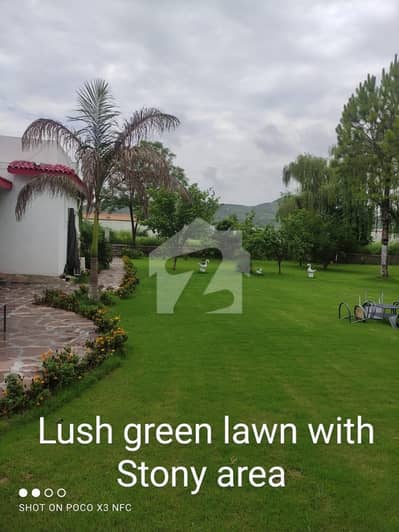 Farm House Is Available For rent In Simly Dam Road Zam Zam Real Estate