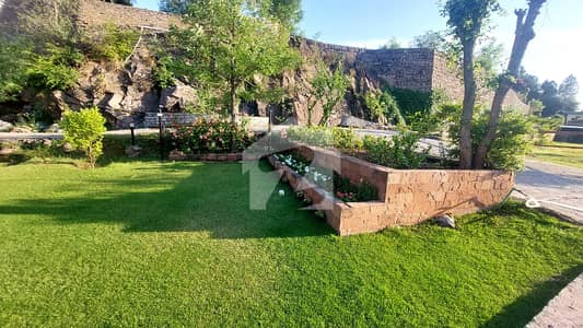 14 KANAL FARM HOUSE FOR RENT FOR MULTIPLE PURPOSES