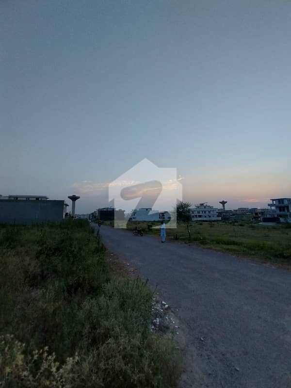 6 6