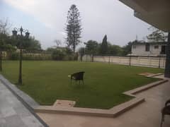 Big Lawn House For Rent