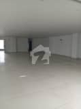 5 5