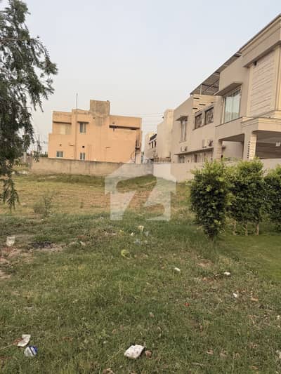 Kanal pair for sale