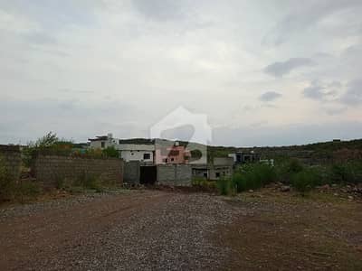 C-12 shah Allah Ditta C block