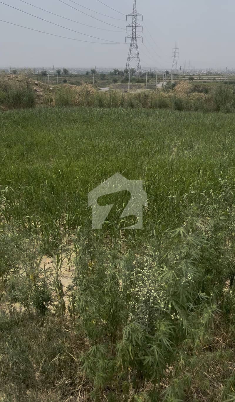1 1