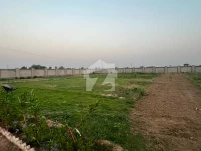 بیدیاں روڈ لاہور میں 8 کنال زرعی زمین 4.5 کروڑ میں برائے فروخت۔