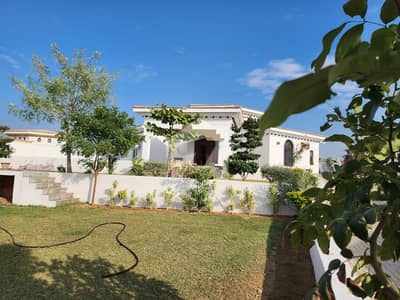 Open Plot For Sale