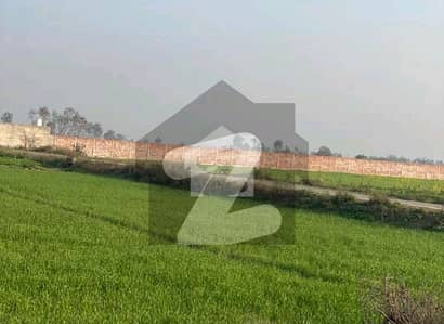 بیدیاں روڈ لاہور میں 24 کنال زرعی زمین 6.3 کروڑ میں برائے فروخت۔