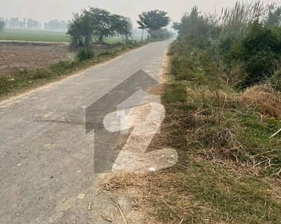بیدیاں روڈ لاہور میں 8 کنال زرعی زمین 1.6 کروڑ میں برائے فروخت۔