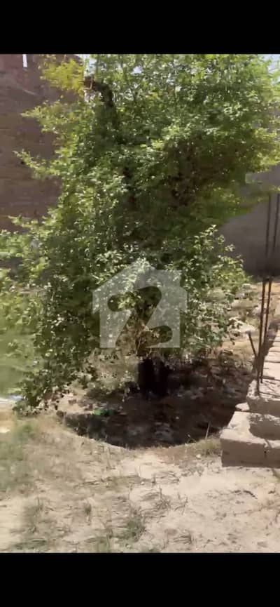 نارتھ گلگشت ملتان میں 4 مرلہ رہائشی پلاٹ 40.0 لاکھ میں برائے فروخت۔