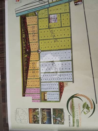 Good Location 1 Kanal Farm House In Cantt Of Lahore Is Available For sale