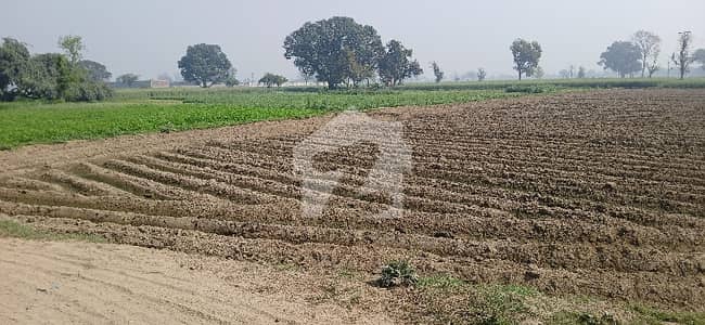 Prime location Corner 8 kanal Near to BRB Canal or DHA phase 7 Residential or Farmhouse purposes