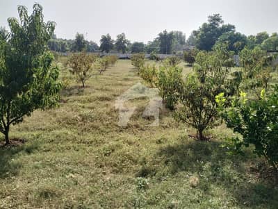 16 Kanal Farm House For Sale