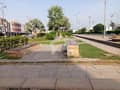 5 5