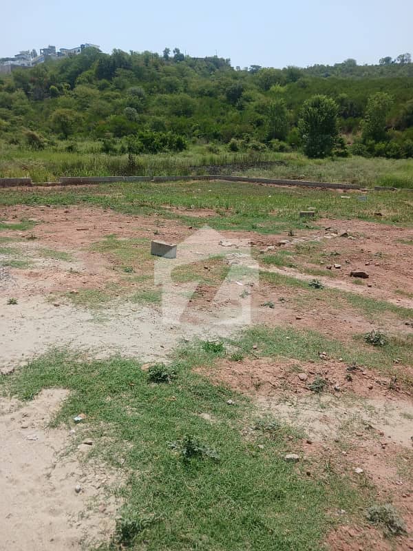 3.5 Marla Plot Available For Sale At Prime Location In Bani Gala 3.5 Marla Plot Available For Sale At Prime Location In Bani Gala