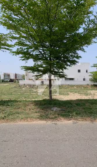 2 Kanal Twin Plot For Sale Prime Investment Opportunity 2 Kanal Twin Plot For Sale Prime Investment Opportunity