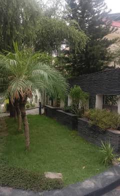 F-11/3 Beautiful House for Rent F-11/3 Beautiful House for Rent