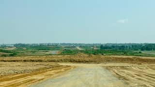 INVESTOR RATE TOP LOCATION PLOT IN C-14