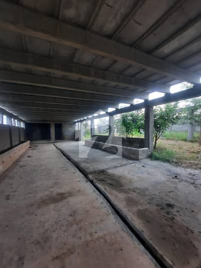 form house is available for sale best of animals business