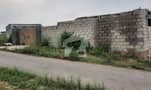 5 5