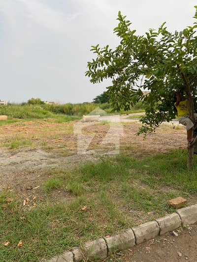 7 Marla Ready To Constraction Plot Available For Sale In M Block Of Gulberg Residencia