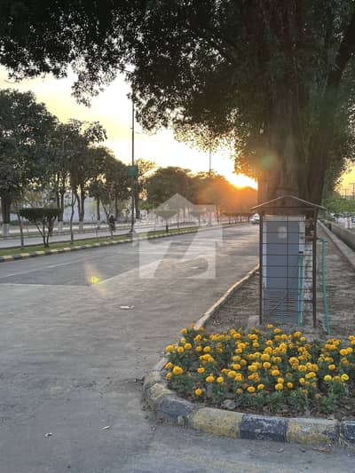 1 Kanal Plot For Sale In IEP / Engineers Town 50ft Road 1 Kanal Plot For Sale In IEP / Engineers Town 50ft Road