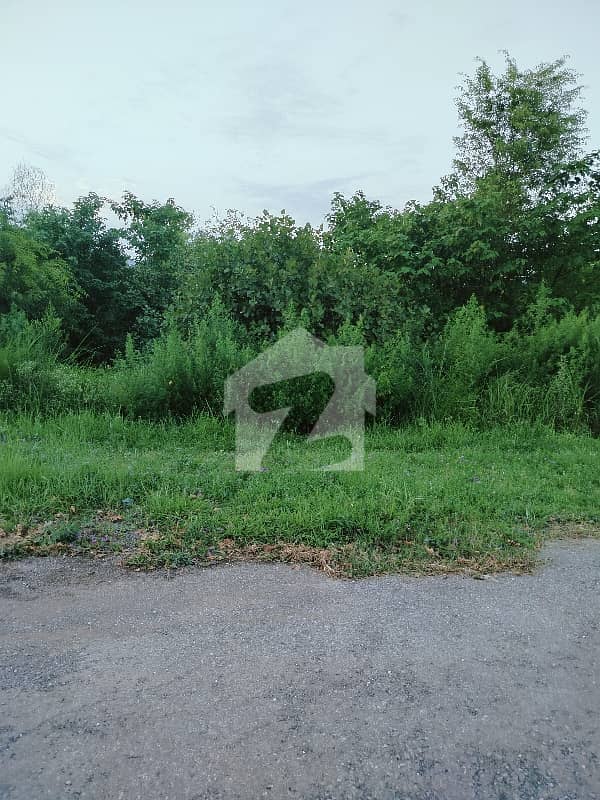 1 1