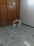 5 5