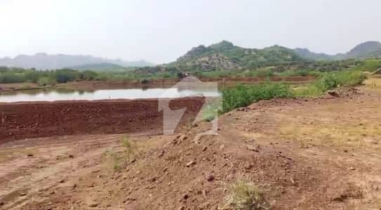 Agriculture Land For Sale