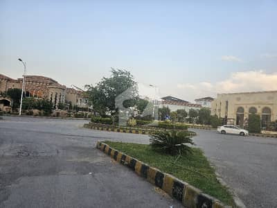 usman d size50x100 plot#44