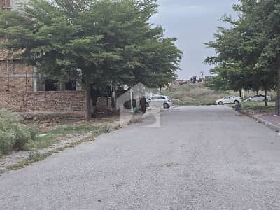 D Block 1kanal Plot