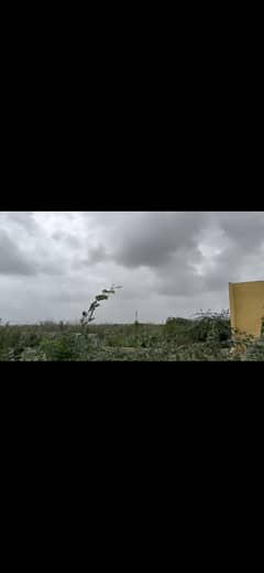 Main Road Commercial Plot for Sale