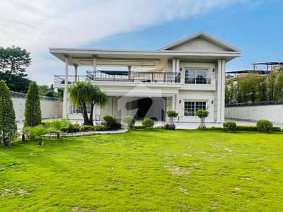 Luxury House Available For Rent