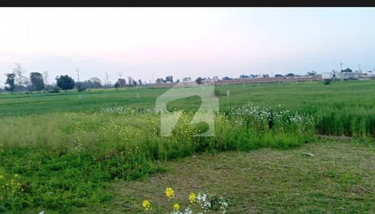 Eight Acre Agriculture Land Also Semi Commercial For Sale Near Ferozpure ROAD LAHORE