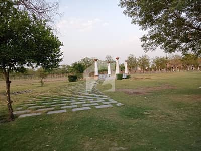 2 Kanal Plot For Farmhouse
