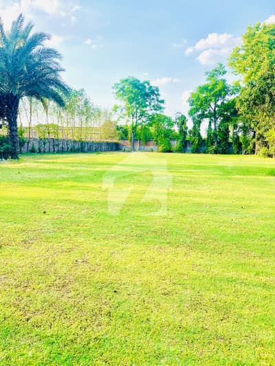 Luxury Meets Tranquillity In A 7-Kanal Fully Furnished Farmhouse Near DHA Secure Your Dream Home With EMPIRE Estate.