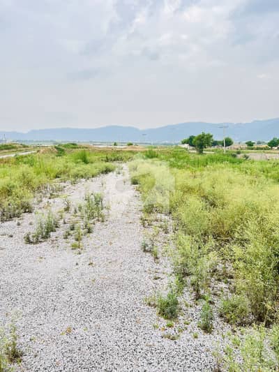 Beautiful Location Plot For Sale