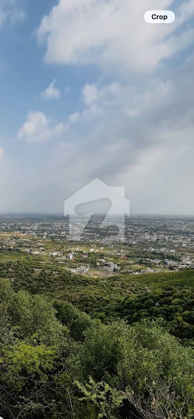 40 ft Road, Cutting Area Plot, Ready For Pocession, Beautiful Location.