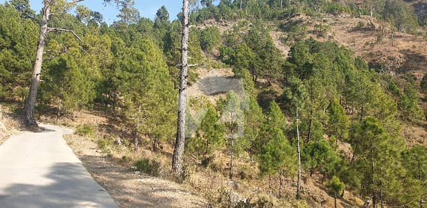 FARM HOUSE LAND AVAILABLE FOR SALE IN MARGALLA HILLS