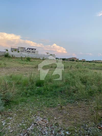 B Block 5Kanal Formhouse Plot Highted Location Available For Sale