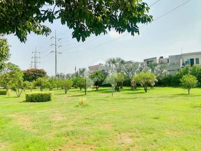 آئی ای پی انجنیئرز ٹاؤن ۔ سیکٹر اے آئی ای پی انجینئرز ٹاؤن,لاہور میں 8 کنال زرعی زمین 11.99 کروڑ میں برائے فروخت۔