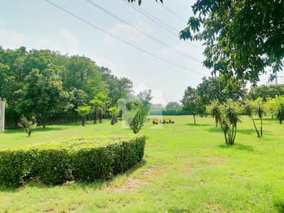 1 KANAL PLOT FOR SALE BLOCK A NASHEMAN IQBAL PHASE 2 COLLEGE ROAD LAHORE